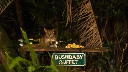 Hluhluwe Cabin | Gooderson Bushlands Game Lodge