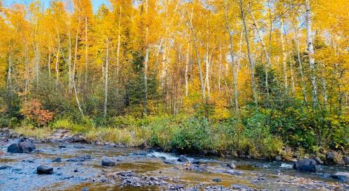 Two Harbors Apartment | Gooseberry Trailside Suites by Heirloom Boutique Collection