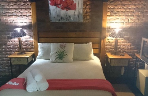 Nylstroom House | Gorgeous Gecko Guesthouse