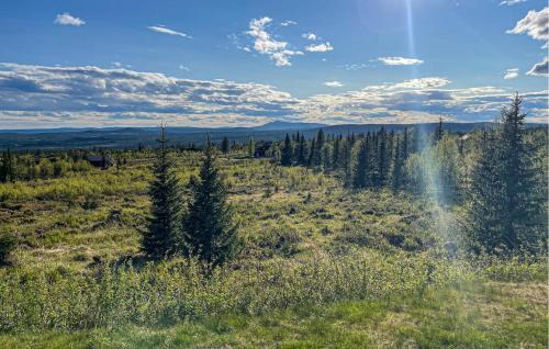 Trysil House | Gorgeous Home In Østby With Kitchen
