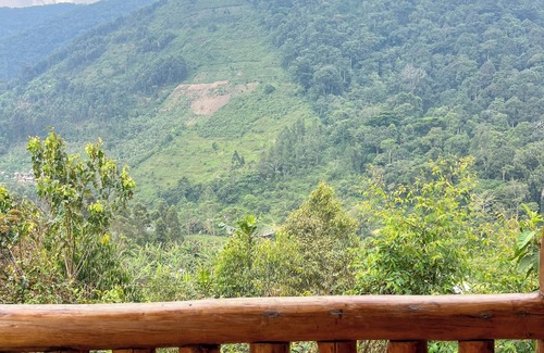 Bwindi Cabin | Gorilla Bluff Lodge