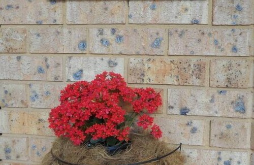 Katoomba House | GRACE COTTAGE - Katoomba FREE WIFI, CENTRALLY HEATED + FOXTEL