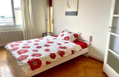 Lausanne Apartment | Grand Appartement de 3 chambres