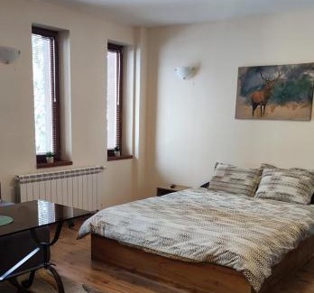 Pamporovo Apartment | Grand Studio A1