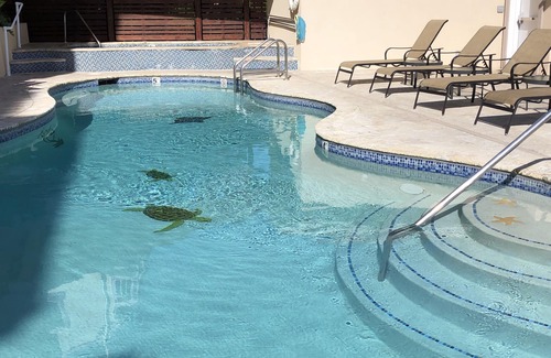 Estate Enighed Apartment | Grande Bay, SURFSIDE Renovated Beachfront studio, WIFI, Great Views