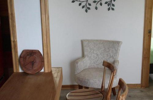 La Union Apartment | Grandioso alojamiento en el Sur cercano a Osorno y Valdivia