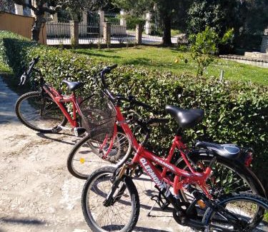 Molos Apartment | Granis Family House