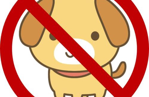 Tsunoshima Island Apartment | GranVista角島