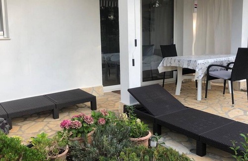 Zdrelac Apartment | Grapevine Studio Apartment