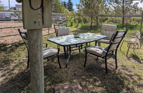 West Central Saskatchewan House | Grayhound RV bus at Vicki's EAL and Photography. Equine assistant learning.