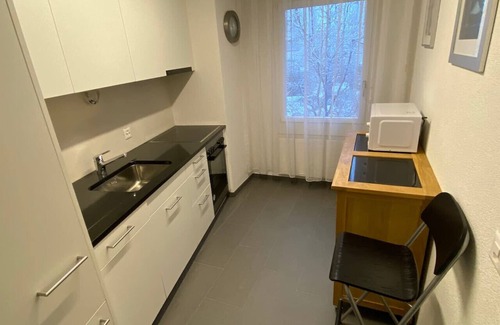 Muhlebach Apartment | Great 2 BR flat in the city center (Mainau 12)