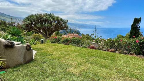 La Matanza de Acentejo Apartment | Great views & heated pool - El Perenquen 4