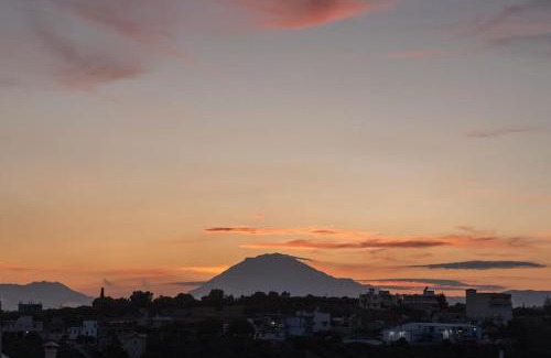 Mires Apartment | Green Apartment in the Hill