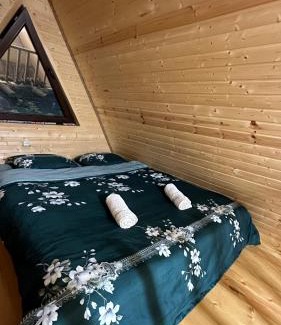 Vedzebi Apartment | green cottage in sioni მწვანე კოტეჯი სიონში