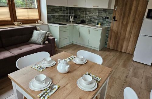 Brzezinka Apartment | Green Door