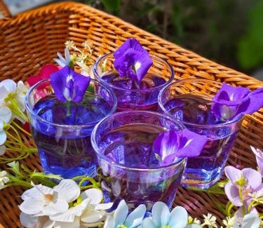 Nakhon Phanom Bed & Breakfast | Green Garden House กรีนการ์เด้นเฮ้าส์ นครพนม