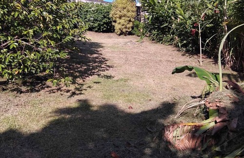 Capesterre-Belle-Eau House | Green house