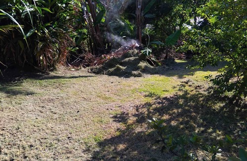 Capesterre-Belle-Eau House | Green house