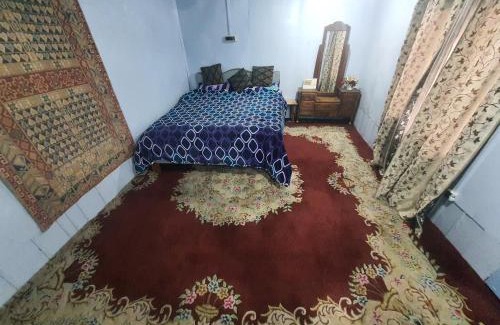 Dal Lake Hotel | Green view group of houseboats