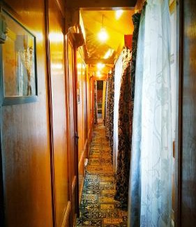 Dal Lake Hotel | Green view group of houseboats