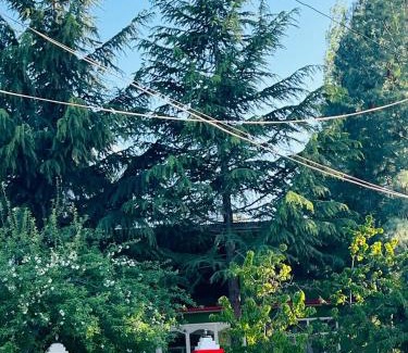 Skardu House | Green Villa Skardu