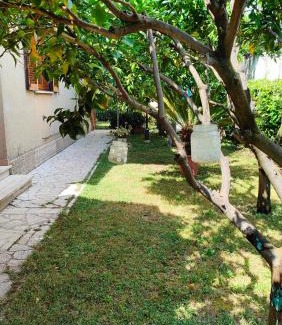 Anzio Apartment | GreenHouse Anzio