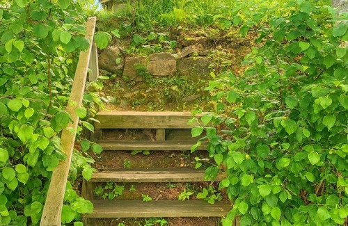 Woodruff Cabin | Gresham Shores - Hungry Bear - PET FRIENDLY