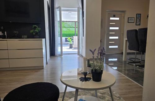 Drnis House | Grey House with heated pool Kričke Drniš