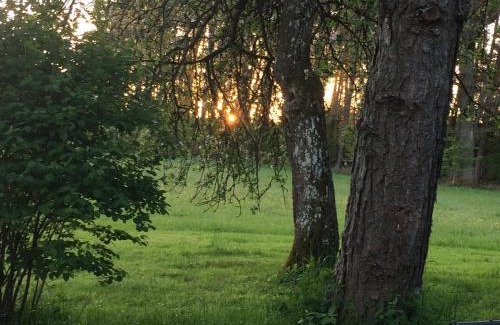 Mudau House | Grimm`s Waldhäuschen