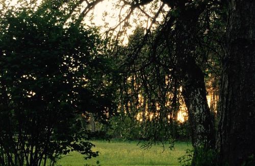 Mudau House | Grimm`s Waldhäuschen