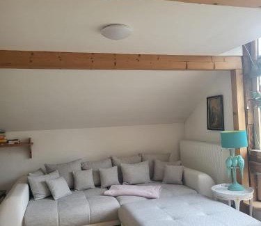 Mittelhof Apartment | Großzügiges Studio-Apartment Siegblick 70qm mit XXL Balkon