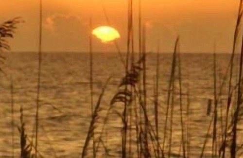 Indian Shores Cottage | Ground Floor just steps from the beach!