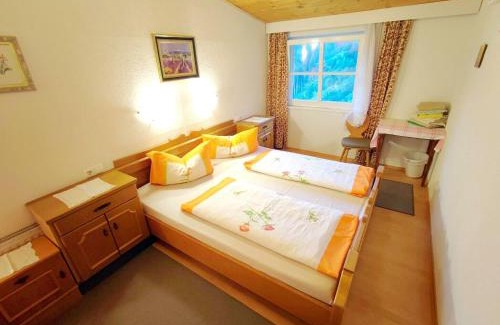 Hippach-Schwendberg House | Group Holiday Home in Hippach with dreamy views