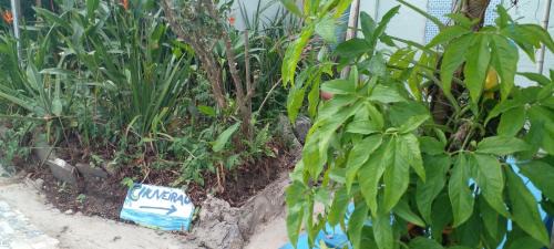 Praia da Vila House | GRUTA da Praia 2