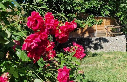 T'ba House | Guest House Aleksandre