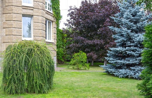 Moskovsky District House | Guest House DOM 18