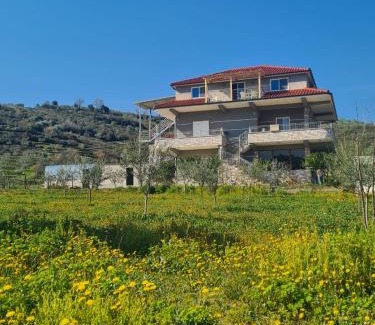 Berat House | Guest House Ilir