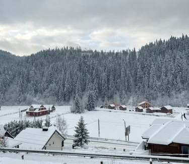 Bukovel House | Guest House Kaspiy