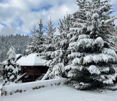 Bukovel House | Guest House Kaspiy