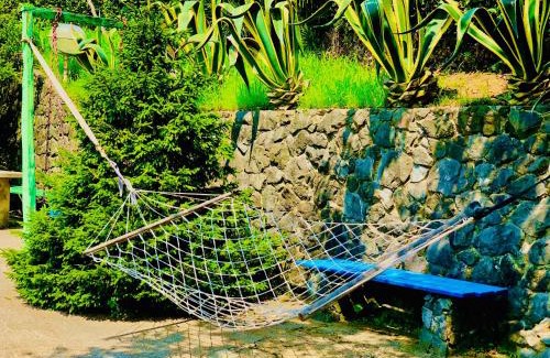 Mtsvane Kontskhi House | Guest House Lasha