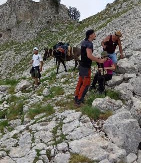 Berat Cabin | Guest House Qafe Dardha - Tomorr National Park