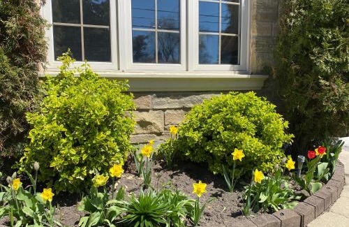 Bathurst Manor Apartment | Guest Suite in Toronto by Ravine