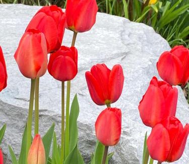 Bathurst Manor Apartment | Guest Suite in Toronto by Ravine