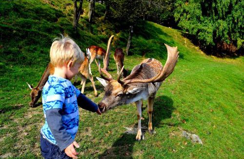 Olimje House | Guesthouse Jelenov greben