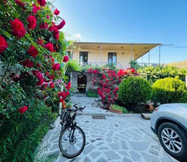 T'ba House | Guesthouse Mtkvari