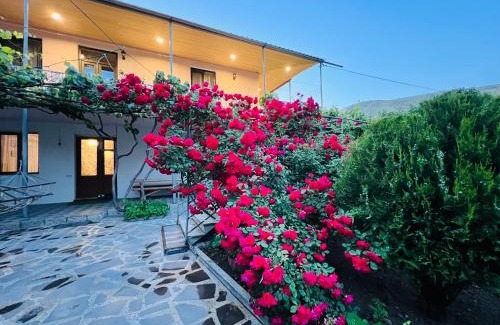 T'ba House | Guesthouse Mtkvari