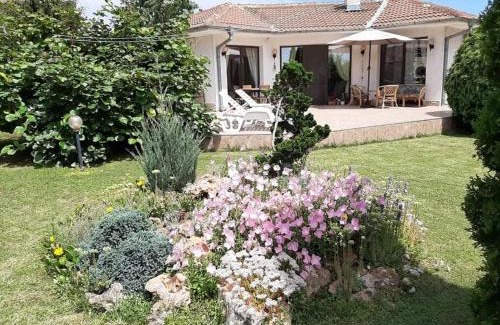 Shabla Villa | Guesthouse Oasis-Shabla