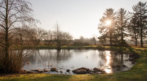 Tjaereborg Bed & Breakfast | Guesthouse Tradsborgvej