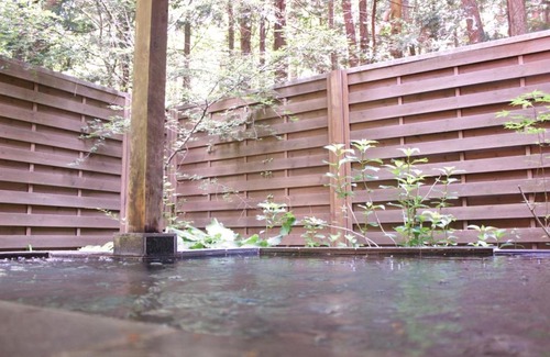 Fujikawaguchiko Hotel | Gusthof Lumiere - Vacation STAY 41349v