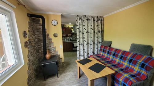 Borjomi Apartment | Gusthouse on Erekle 25 (люкс)